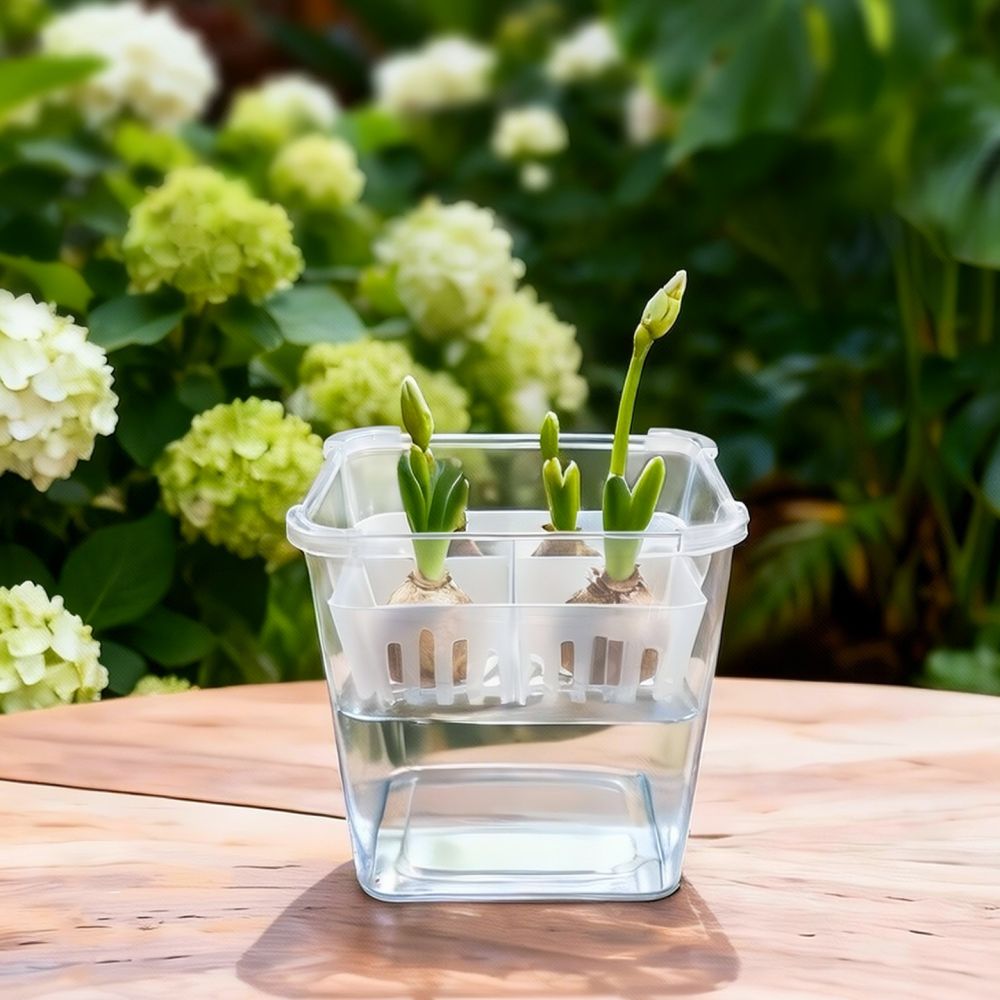 Hydroponic Vase For Tulip Lily - огляд і ціна Vase Decor