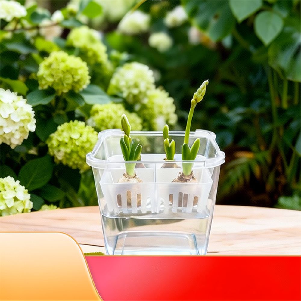 Hydroponic Vase For Tulip Lily - огляд і ціна Vase Decor